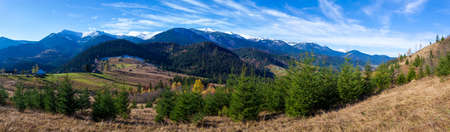Wonderful beautiful landscape with mountains forest and meadow with trees in Carpathian mountains, Ukraine.の写真素材
