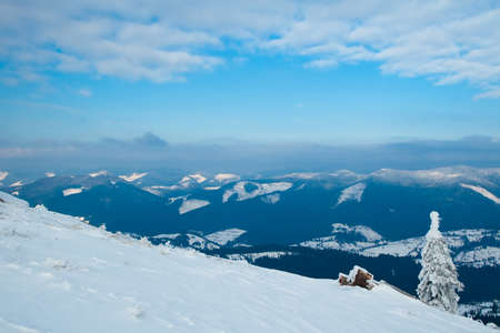 Carpathian mountains, Ukraine. Beautiful winter landscape. The forrest ist covered with snow.の写真素材