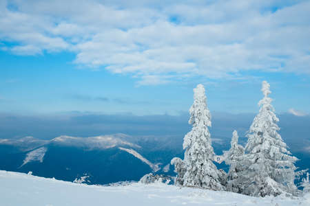 Carpathian mountains, Ukraine. Beautiful winter landscape. The forrest ist covered with snow.の写真素材