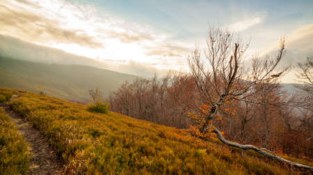 Ukraine, Magura-Jide mountains and blue sky Landscape of the Carpathian mountains. Wide open desert landscapes of the Borzhava highlands. Pylypets, National Park.の写真素材