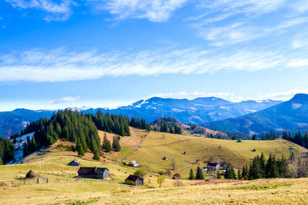 tree on hillside on autumn mountains. beautiful bright landscape with hazy mountain ridge in a...