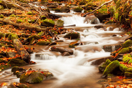 Ukpaine. Waterfall among the mossy rocks. Beautiful landscape rapids on a mountains river in autumn forest in carpathian mountains at sunset. Silver stream in National park Shypit Carpat. Pilipets.の写真素材