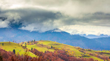 Carpathians, Ukraine.Frozen grass covered with white frost against the backdrop of a beautiful blue sky and fluffy white fogの写真素材