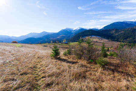 Wonderful beautiful landscape with mountains forest and meadow with trees in Carpathian mountains, Ukraine.の写真素材