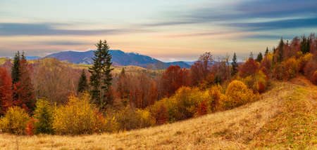 Carpathians, Ukraine. Sunset in the cloudy sky over the autumn forest lake. View from shore level, image in orange-yellow tint.の写真素材