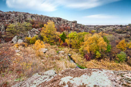 A large number of stone minerals covered with green vegetation lying above a small river in picturesque Ukraine and its beautiful natureの写真素材