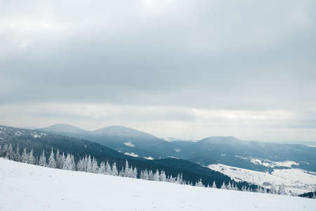 Carpathian mountains, Ukraine. Beautiful winter landscape. The forrest ist covered with snow.の写真素材