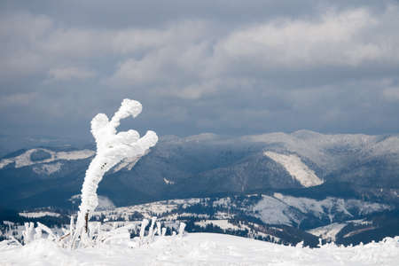 Carpathian mountains, Ukraine. Trees covered with hoarfrost and snow in winter mountains - Christmas snowy backgroundの写真素材