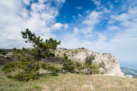 A wonderful and unusually beautiful landscape overlooking the high plateau of the Crimean mountains. Clean and reasonable nature of Crimea. Ukraine, territory occupied by the Russian Federation.の写真素材