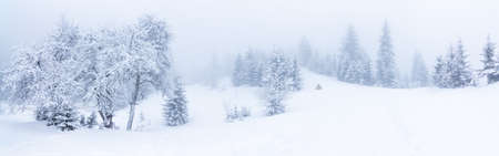 Beautiful winter landscape with snow covered trees. Winter mountains.の写真素材