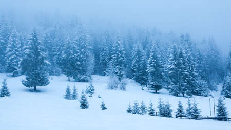 Beautiful winter landscape with snow covered trees. Winter mountains.の写真素材
