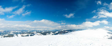 Carpathian mountains, Ukraine. Wonderful snow-covered firs against the backdrop of mountain peaks. Panoramic view of the picturesque snowy winter landscape. Gorgeous and quiet sunny day.の写真素材