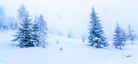 Beautiful winter landscape with snow covered trees. Winter mountains.の写真素材