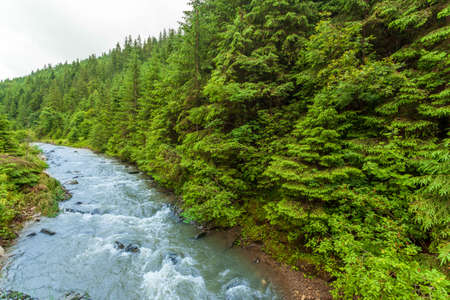Beautiful nature and landscape with lush green forests and vegetation around the picturesque and...
