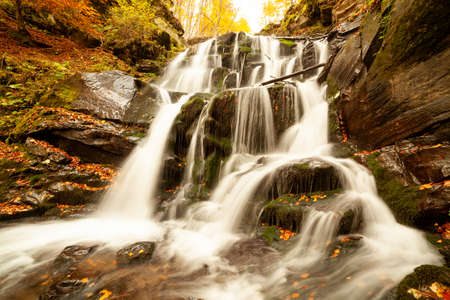 Ukpaine. Waterfall among the mossy rocks. Beautiful landscape rapids on a mountains river in autumn forest in carpathian mountains at sunset. Silver stream in National park Shypit Carpat. Pilipets.の写真素材