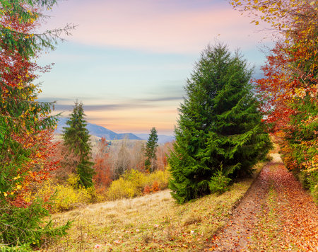 Carpathians, Ukraine. Sunset in the cloudy sky over the autumn forest lake. View from shore level, image in orange-yellow tint.の写真素材