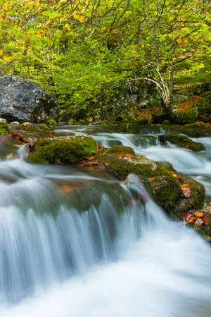 Summer day forest stream water with motion blur wavesの写真素材