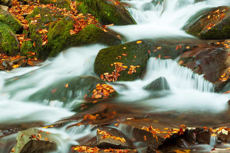 Ukpaine. Waterfall among the mossy rocks. Beautiful landscape rapids on a mountains river in autumn forest in carpathian mountains at sunset. Silver stream in National park Shypit Carpat. Pilipets.の写真素材