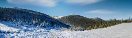 Ukraine. A picturesque view of the mountains, overgrown with forest and covered with snow. Landscape with Carpathian mountains and white snow. Beautiful winter panorama of mountains and snow.の写真素材