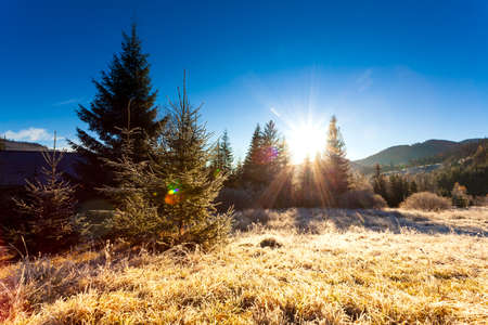 Ukraine. Wonderful early morning in the autumn mountains. Carpathian mountain range. Soft sunlight on glades and firs, frost on the grass.の写真素材