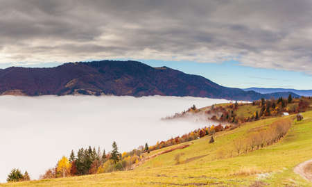 Carpathians, Ukraine.Frozen grass covered with white frost against the backdrop of a beautiful blue sky and fluffy white fogの写真素材