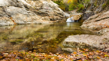 Summer day forest stream water with motion blur wavesの写真素材