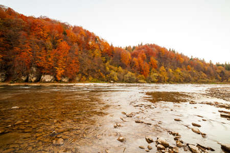 View of the waterfall in autumn. Waterfall in autumn colors. Mountain river in the autumn landscape. Ukraine, river Stryj.の写真素材