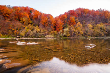 View of the waterfall in autumn. Waterfall in autumn colors. Mountain river in the autumn landscape. Ukraine, river Stryj.の写真素材
