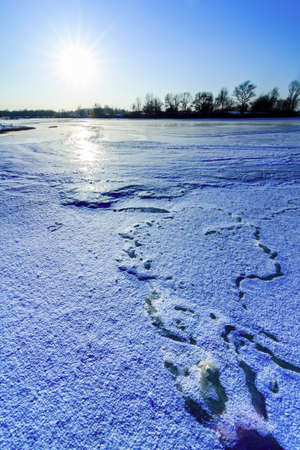 Winter landscape with the river and snow in frosty dayの写真素材