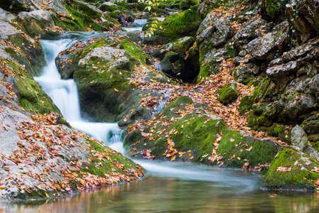 Summer day forest stream water with motion blur wavesの写真素材
