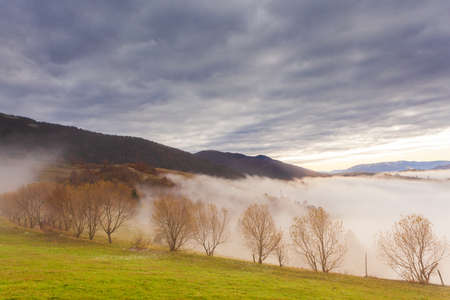 Beautiful summer Carpathians, in the early morning, shortly before sunrise. Beautiful sunrise over a mountain misty valley. Trees on a grassland hill in the foreground.の写真素材