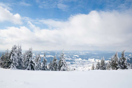 Carpathian mountains, Ukraine. Trees covered with hoarfrost and snow in winter mountains - Christmas snowy backgroundの写真素材