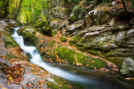 Summer day forest stream water with motion blur wavesの写真素材