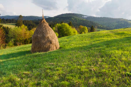 haystack on a grassy rural field in mountains. beautiful countryside landscape with forested hills on a fine summer dayの写真素材