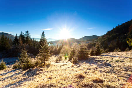 Ukraine. Wonderful early morning in the autumn mountains. Carpathian mountain range. Soft sunlight on glades and firs, frost on the grass.の写真素材