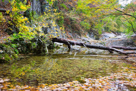 Summer day forest stream water with motion blur wavesの写真素材