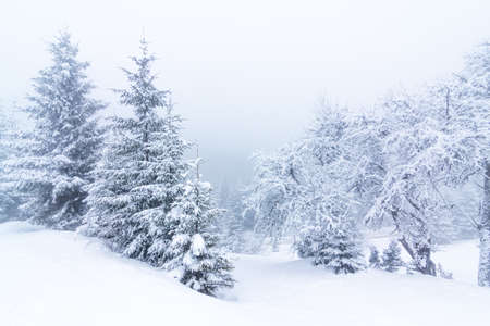 Beautiful winter landscape with snow covered trees. Winter mountains.の写真素材
