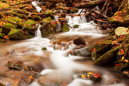 Ukpaine. Waterfall among the mossy rocks. Beautiful landscape rapids on a mountains river in autumn forest in carpathian mountains at sunset. Silver stream in National park Shypit Carpat. Pilipets.の写真素材