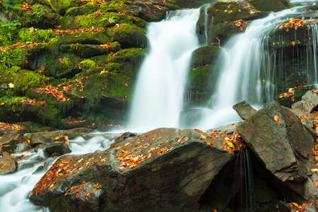 Ukpaine. Waterfall among the mossy rocks. Beautiful landscape rapids on a mountains river in autumn forest in carpathian mountains at sunset. Silver stream in National park Shypit Carpat. Pilipets.の写真素材