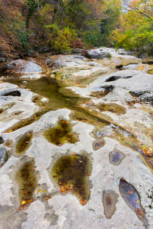 Summer day forest stream water with motion blur wavesの写真素材