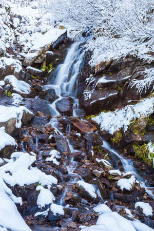 Winter landscape, a small fast stream flows in the forest among the trees, Carpathians, Ukraine.の写真素材