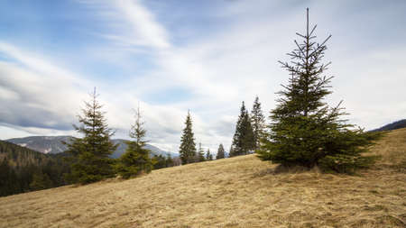 Landscape in the mountains in the fog. Carpathian mountains. The tops of trees sticking out of the fog.の写真素材
