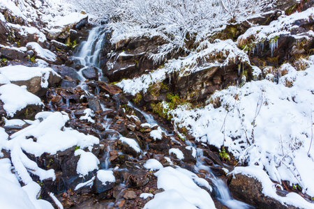 Winter landscape, a small fast stream flows in the forest among the trees, Carpathians, Ukraine.の写真素材