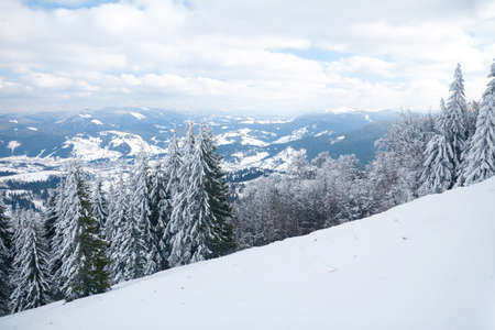 View from the top of mountain on forest in frost and low cloud.の写真素材