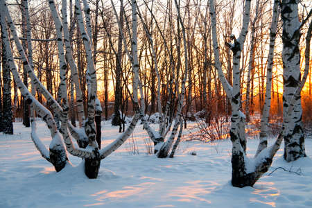 Photo the snow-covered river did not freeze in winter.The river flows in winter. Snow on the...