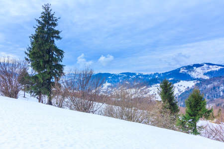 Beautiful winter landscape with snow covered trees. Winter mountains.の写真素材