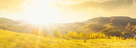 Ukraine. Sunrise shines in the Carpathians, colored fog spreads over the valleys and lowlands of the mountain range, golden prairies are very dazzlingly beautiful.の写真素材