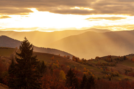 Ukraine. Warm autumn in the Carpathians. Very beautiful picturesque, beech, birch and pine forests on the slopes of the Synevyr Mountains glow with bright colors against the backdrop of sunset.の写真素材