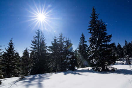 Fog moving over the mountain in winter with a star-shaped skyの写真素材