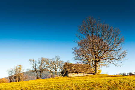 An old, abandoned farmhouse in a mountain meadow above the Carpathians. Beautiful walking landscape in Ukraine. autumn time.の写真素材